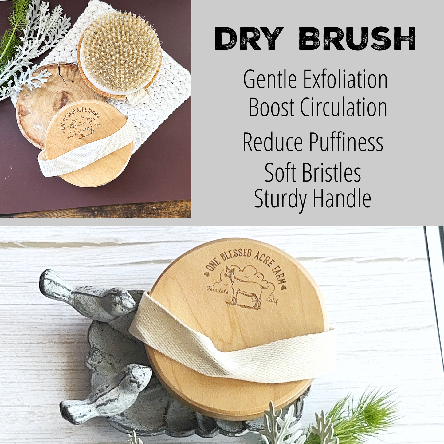 Natural Beauty Supply Body Brush