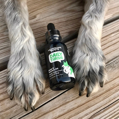 Daily Thrive: Immune & Energy Support for Dogs & Cats