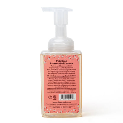 Seasonal Foaming Hand Soap - Candy Cane