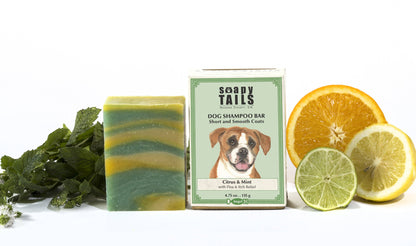 Dog Shampoo Bar Citrus & Mint - Short & Smooth Coats