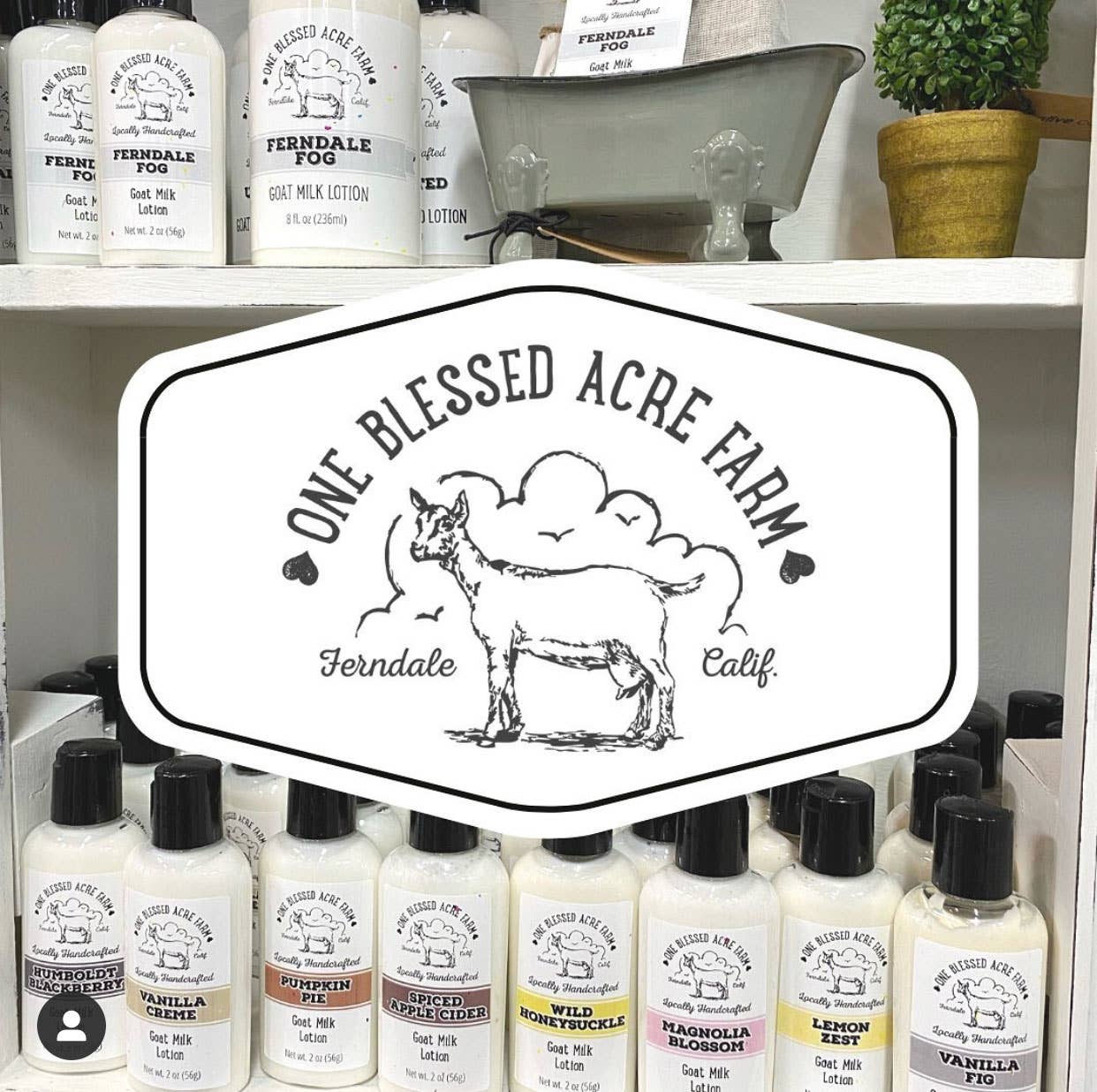 Vanilla Creme Goat Milk Lotion