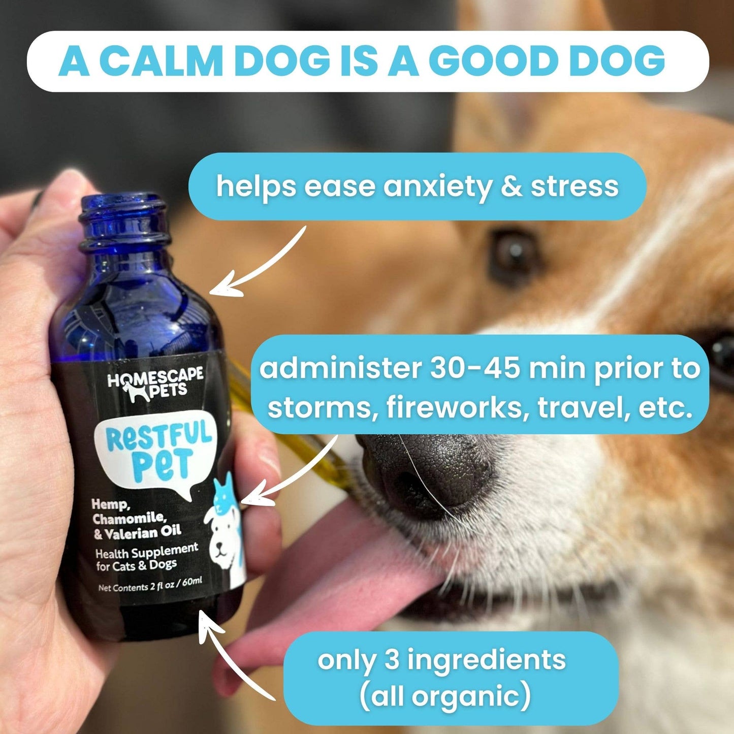 Restful Pet: Anti-Anxiety Calming Aid for Dogs & Cats