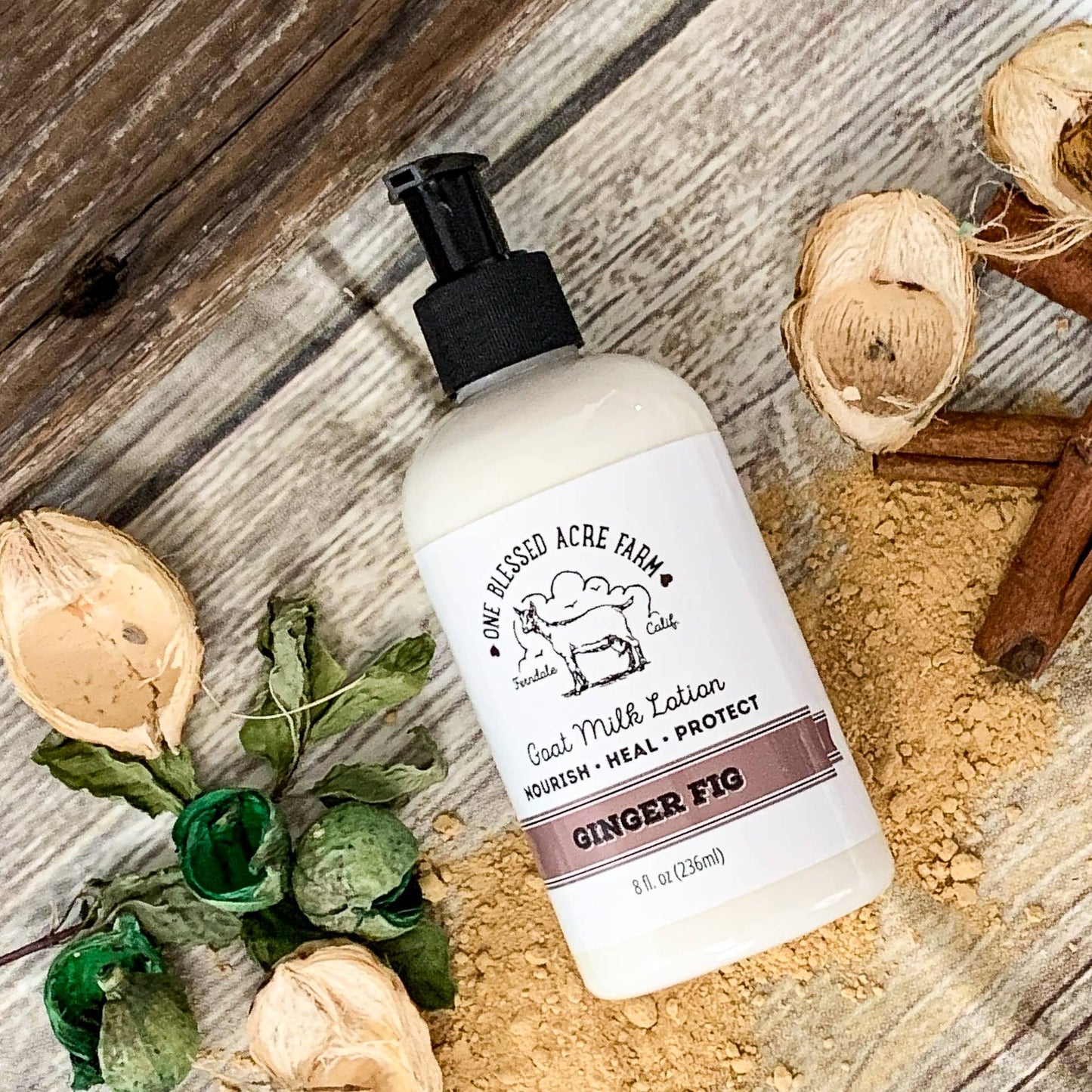 Ginger Fig Goat Milk Lotion