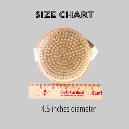 Natural Beauty Supply Body Brush