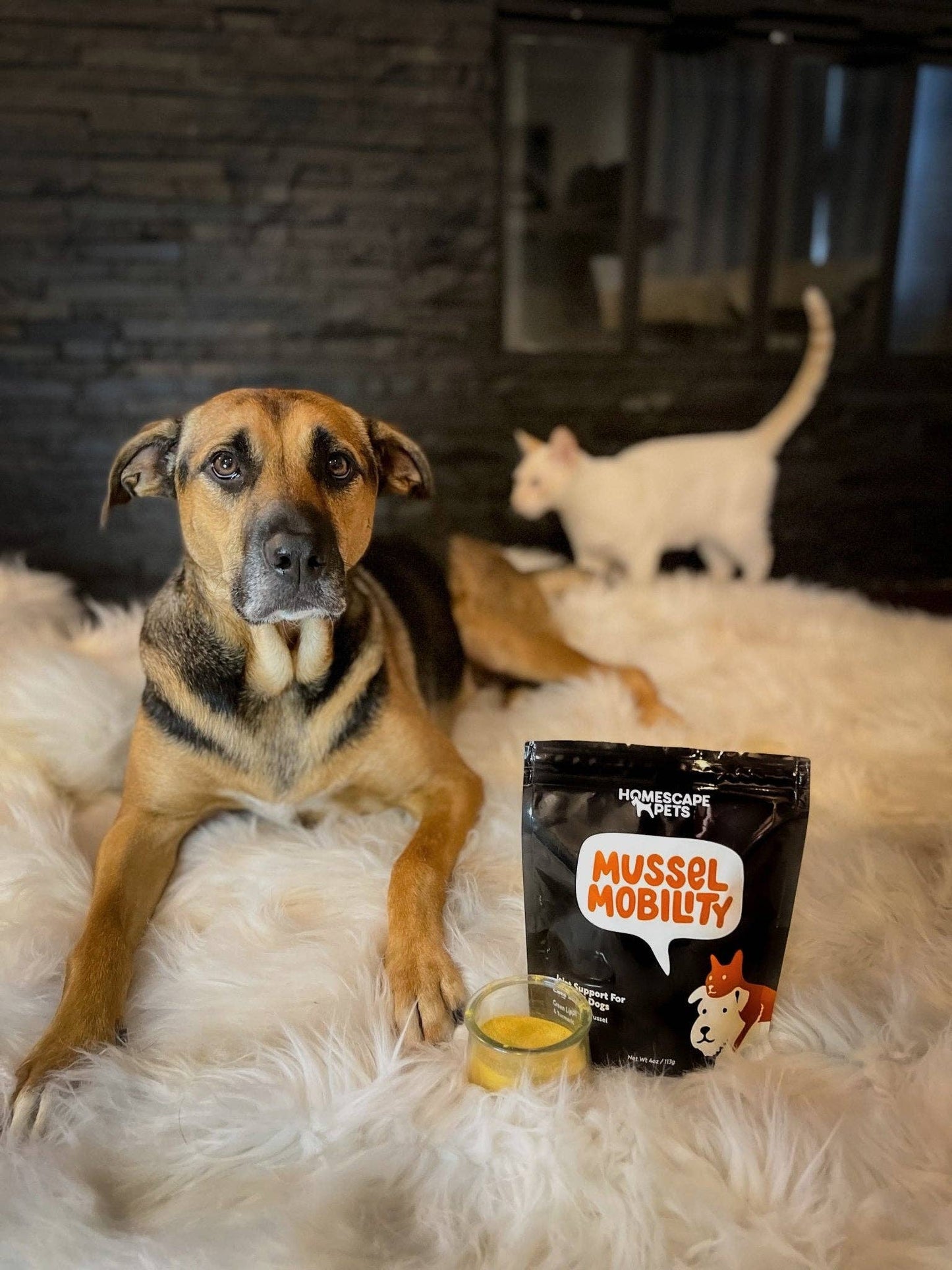 Mussel Mobility: Hip & Joint Support Powder for Dogs & Cats