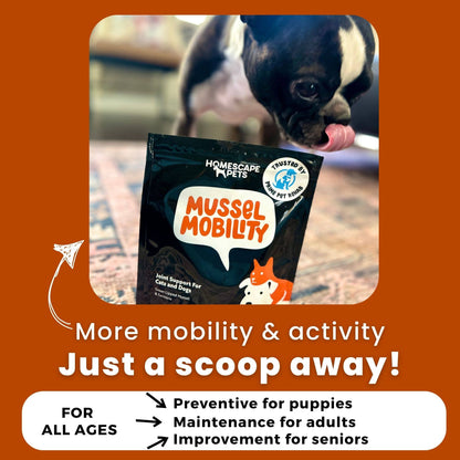 Mussel Mobility: Hip & Joint Support Powder for Dogs & Cats