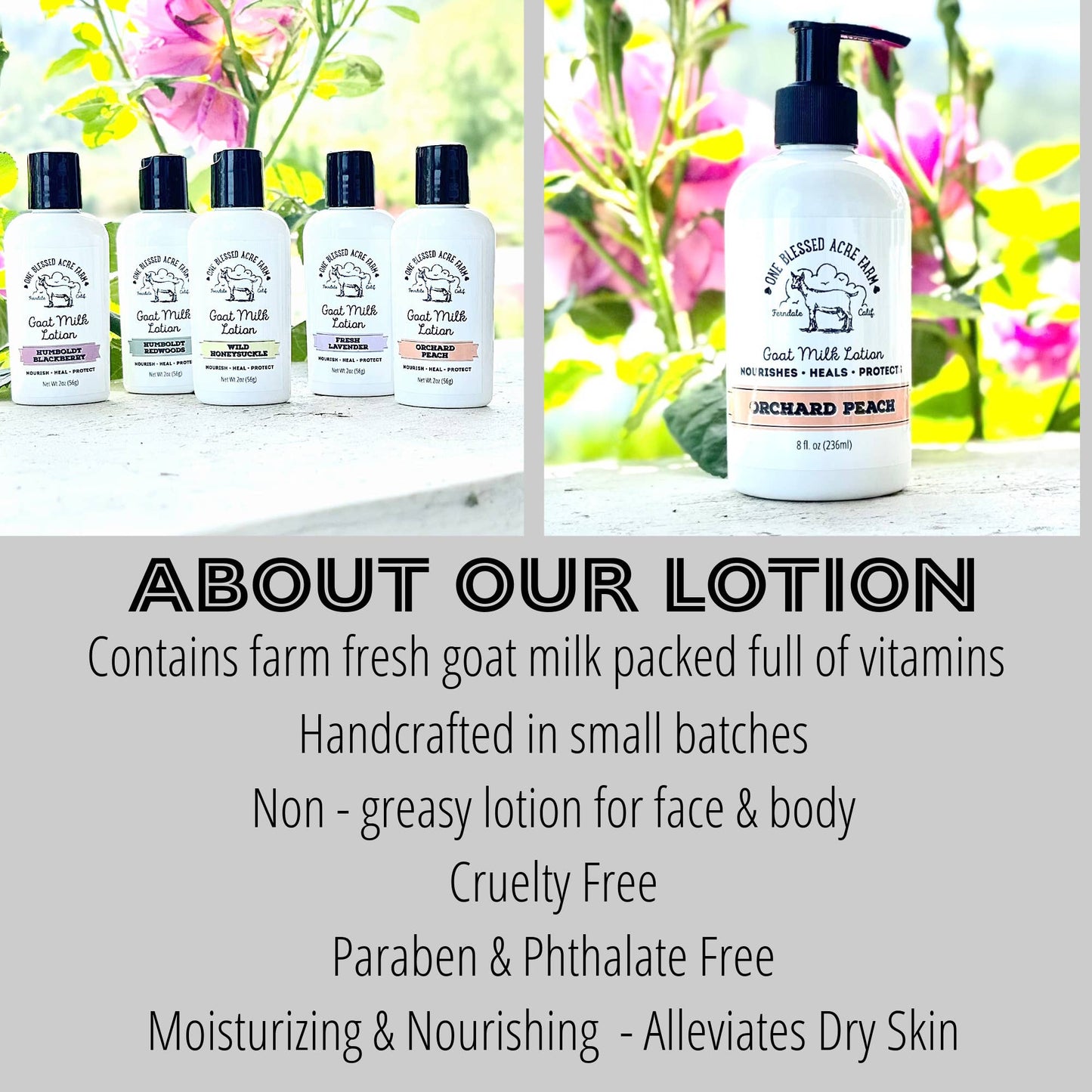 Lemon Zest Goat Milk Lotion