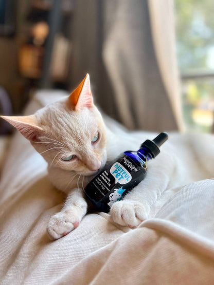 Restful Pet: Anti-Anxiety Calming Aid for Dogs & Cats