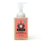 Seasonal Foaming Hand Soap - Candy Cane